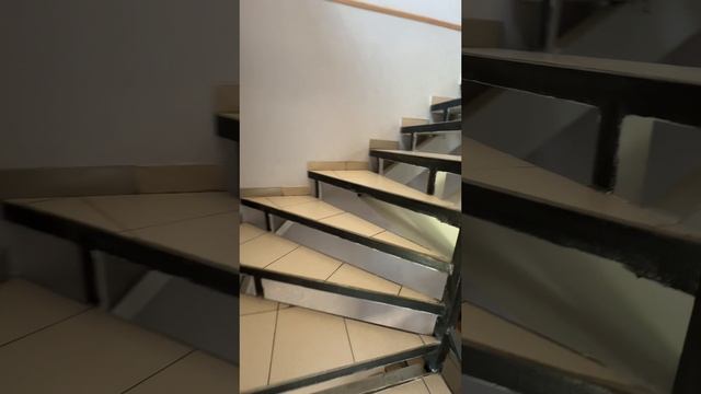 Обзор Красного дома