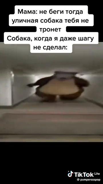 😎