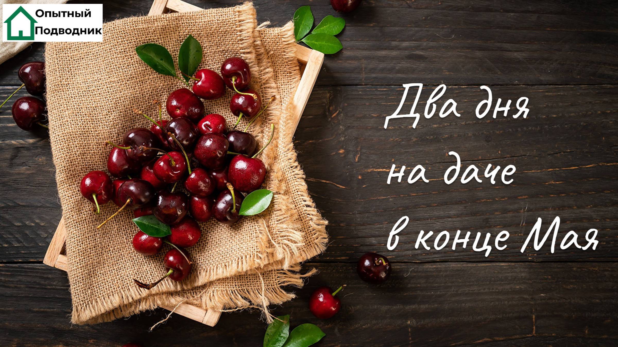 ОПЫТНЫЙ ПОДВОДНИК: Два дня на даче в конце Мая    #ArtDon_OP