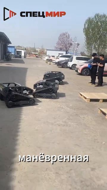 Газонокосилка для небольшого сада 550L-B