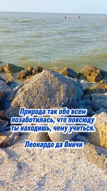 Мысли.Природа