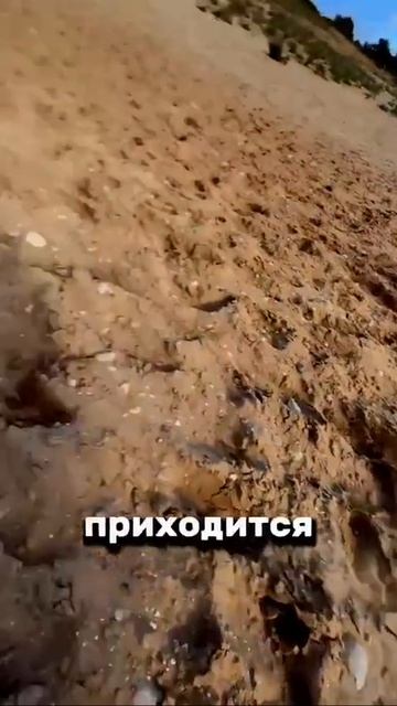 А вы знали?