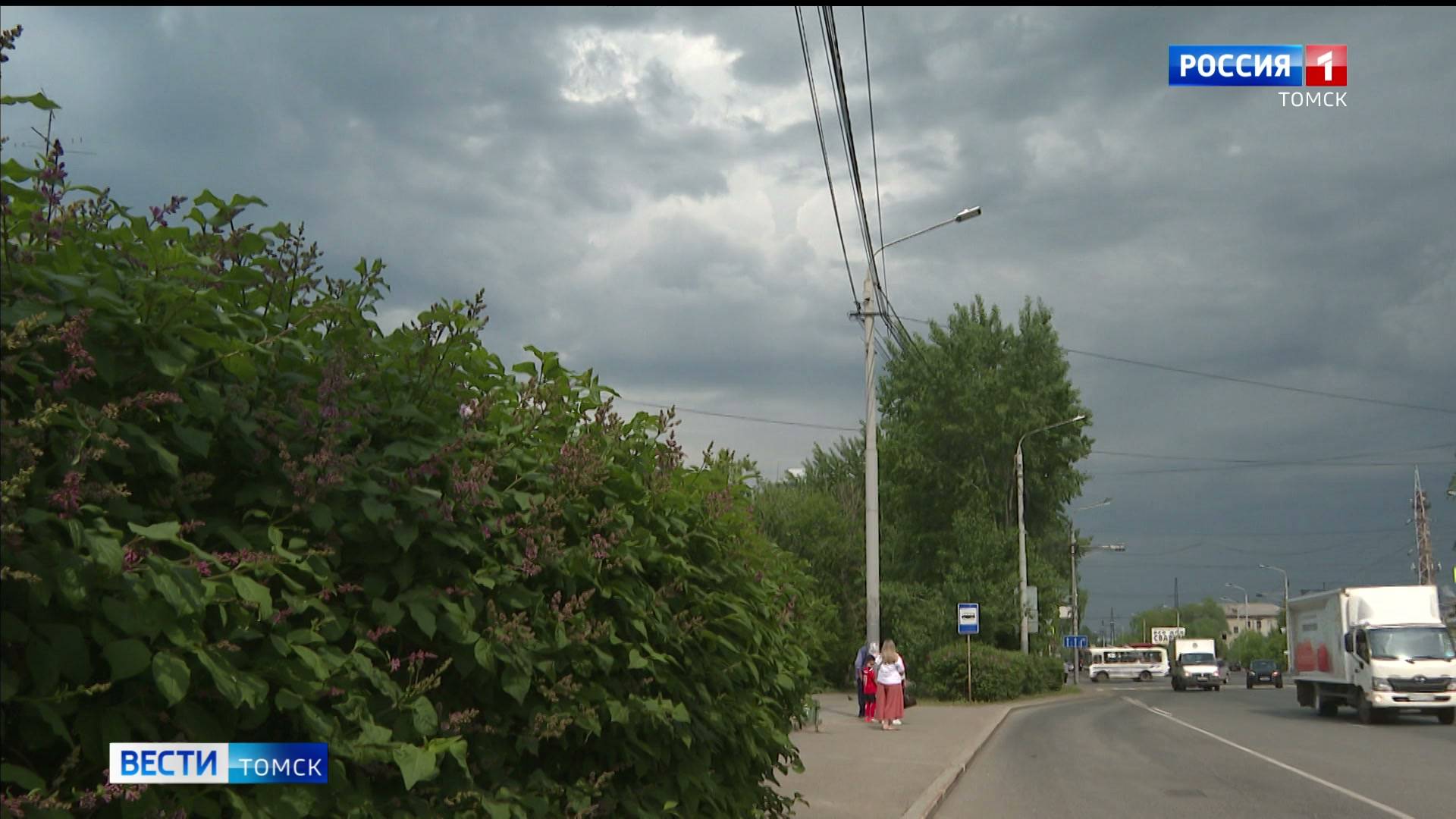 Вести-Томск, выпуск от 03.06.2025 11:30