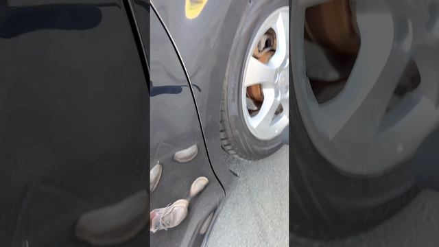 Kia Ceed 2008 толщиномер