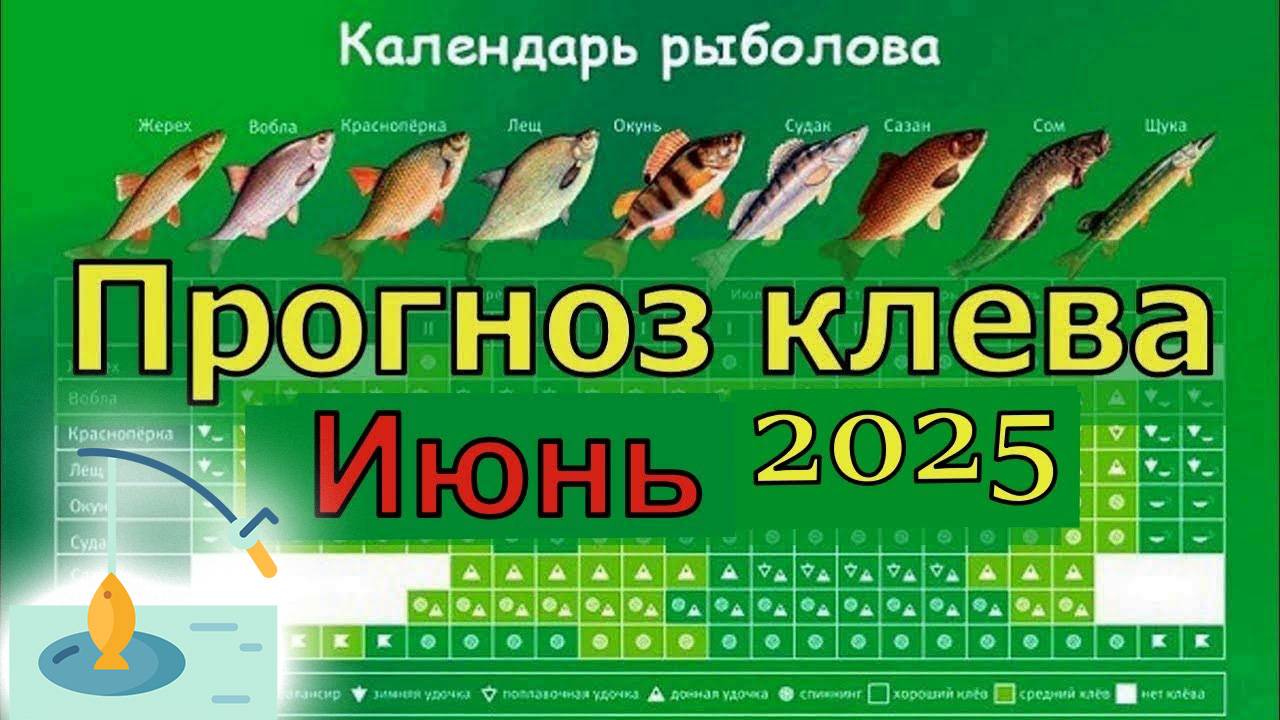 Прогноз клева рыбы на ИЮНЬ 2025 года. Лунный календарь рыбака. Календарь рыбака на ИЮНЬ