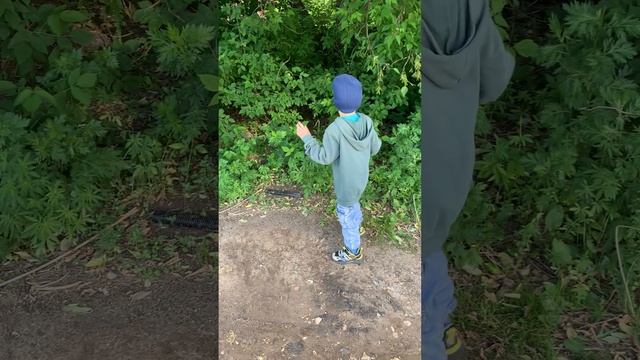 Максим решил покормить козочку из рук ♥️