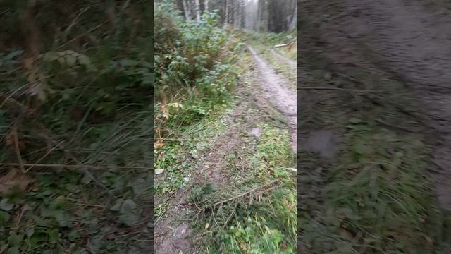 Таёжный быт на реке Асуг.