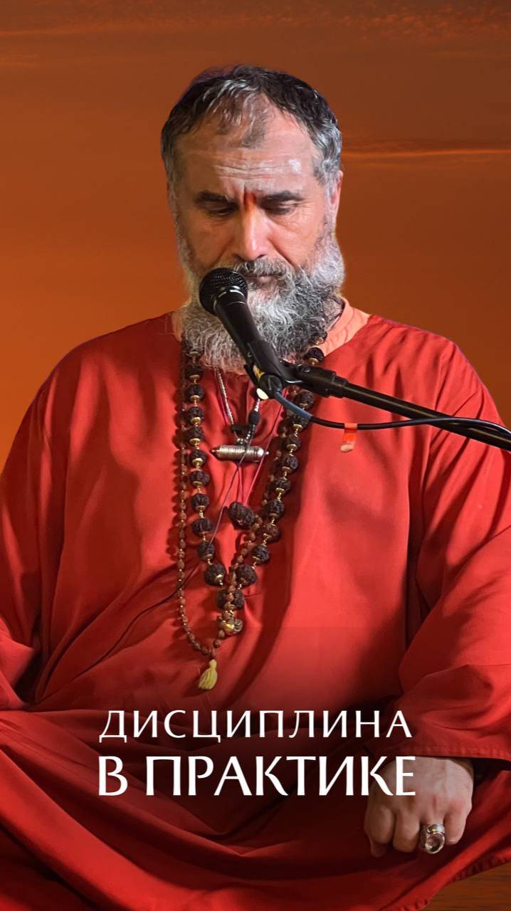 Дисциплина в практике