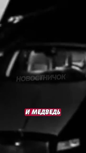 Новостничок (306)