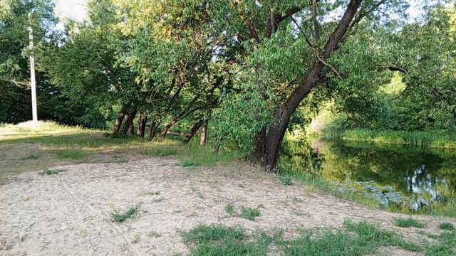 1000007578.mp4