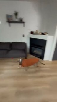 Завалился 😹😹