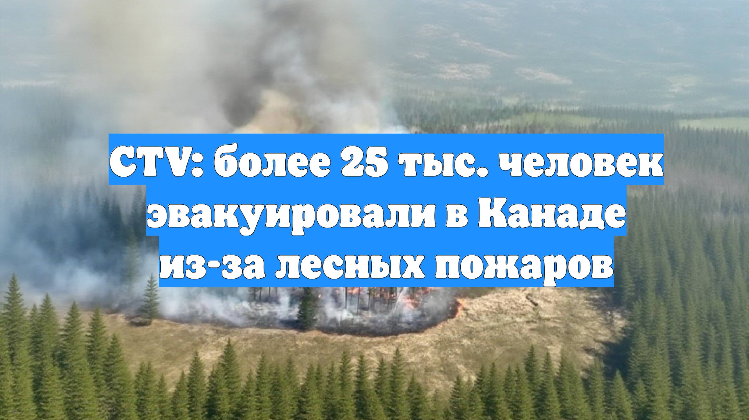CTV: более 25 тыс. человек эвакуировали в Канаде из-за лесных пожаров