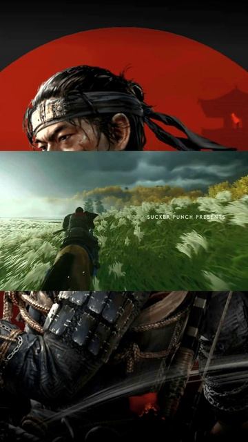 поле цветов  #игры  #gamingvideos #games #игры #ghostoftsushima  #шортс #sho
