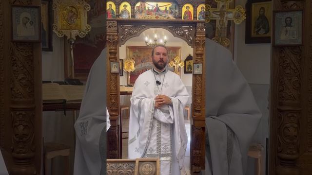 Проповедь отца Ильи в неделю 7-ю по Пасхе, святых отцов I Вселенского Собора. 1 июня 2025г.
