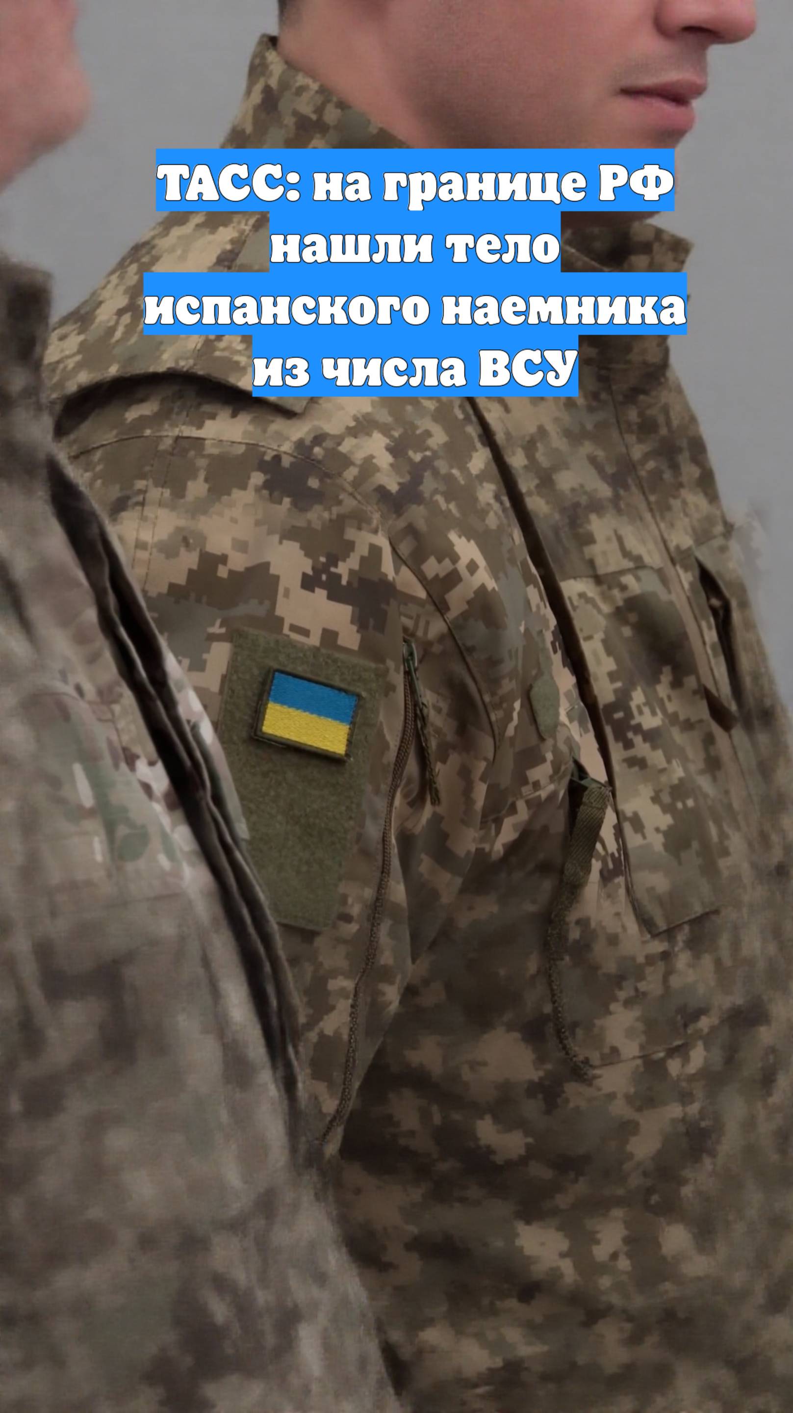 ТАСС: на границе РФ нашли тело испанского наемника из числа ВСУ