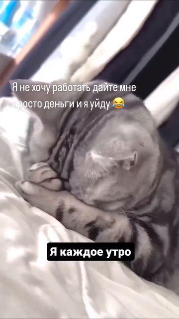 дай денег