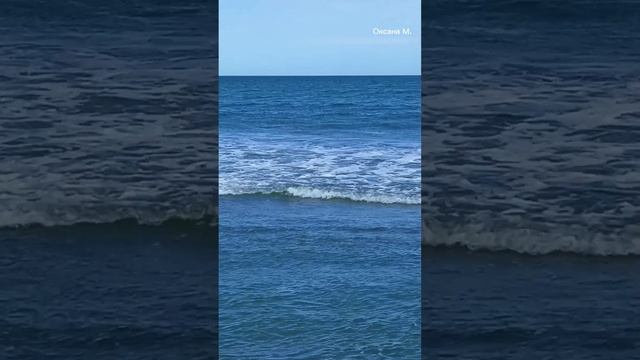 Бухта Тихая на Сахалине.mp4