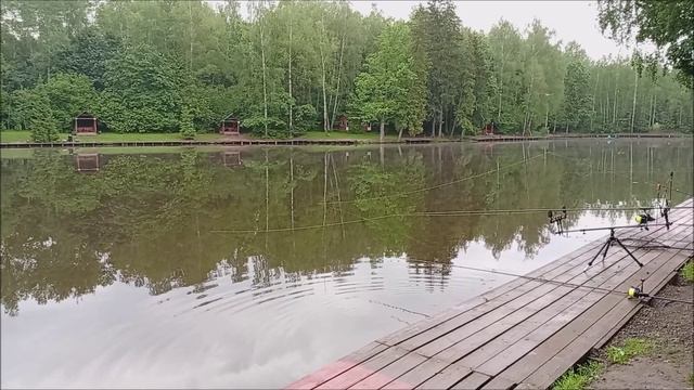 Обзор по уловам и клёву осетра на Нижнем водоёме. Клёвое место лосиный остров.