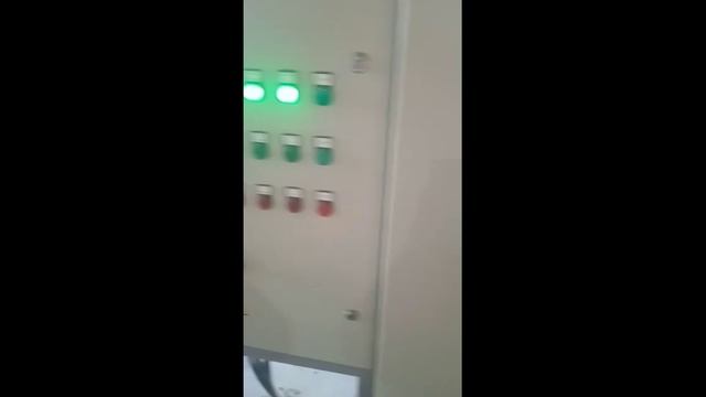Лузга подсолнечника 1 т в час