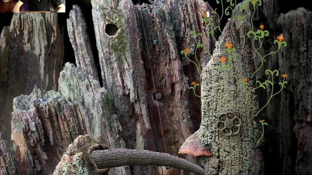 ДОБРОЕ КОРОТКОЕ ПРИКЛЮЧЕНИЯ/ Samorost 1/