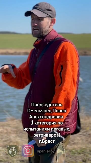 II  Открытые Гродненские состязания спаниелей по болотной дичи. Щорсы 2025. Приглашаем к участию!!!