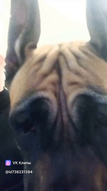 1000491919.mp4