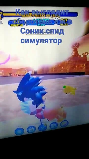 Как выглядит оборотень ёж в Соник спид симулятор