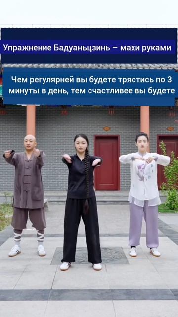 Упражнение бадуаньцзинь  Удан-тайчи