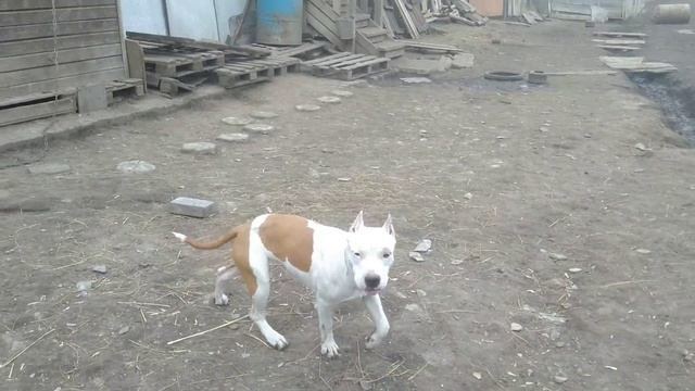VID 20190420 155402