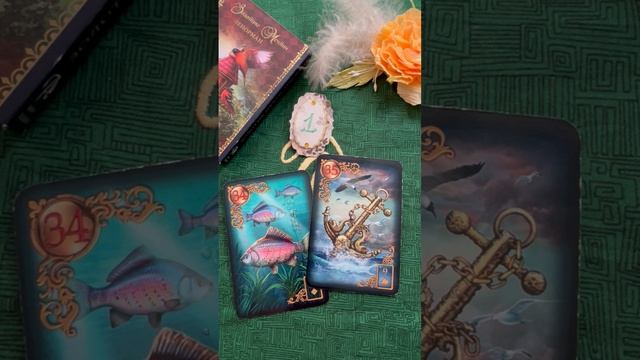 Подсказки на каждый день#