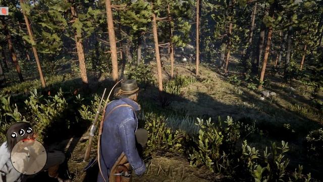 Red Dead Redemption 2 #8 Визит Вежливости