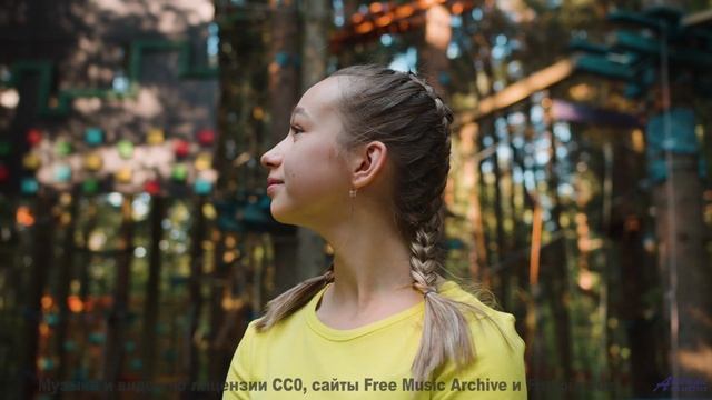 Мелодия, которую слышно только в полночь. - The Ambulance -- Vulpiano Records Artists -- Sampler EP