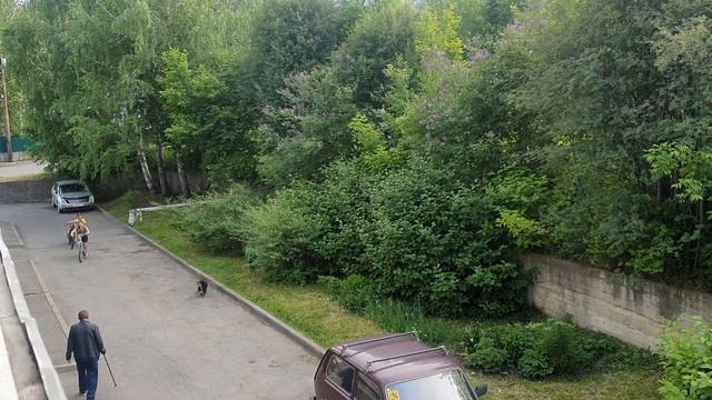 Ребятня