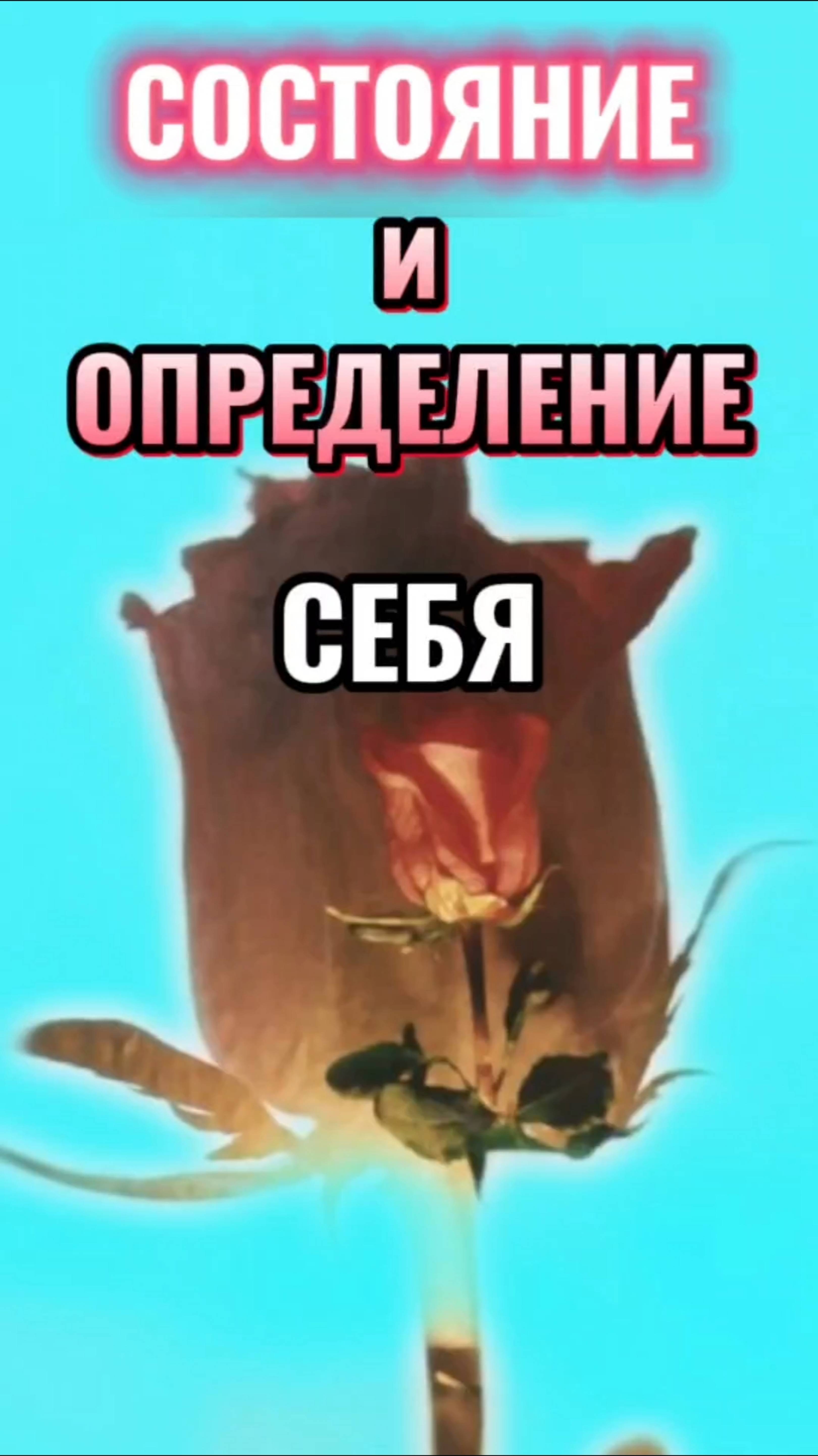 СОСТОЯНИЕ и ОПРЕДЕЛЕНИЕ СЕБЯ.