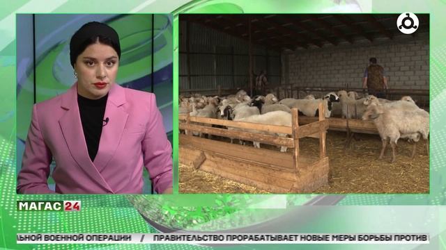 В Ингушетии стартовала масштабная благотворительная акция к празднику Г1урба