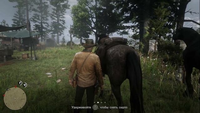 Прохождение Red Dead Redemption 2 на 100% и Платину: часть 8