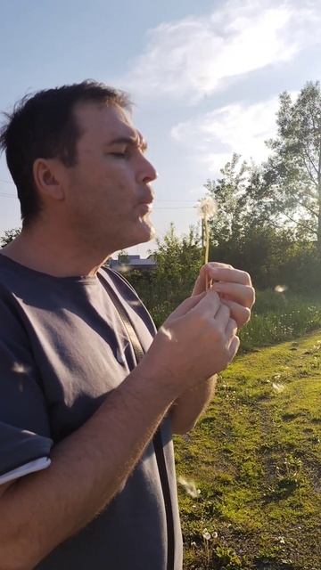 Летняя пора