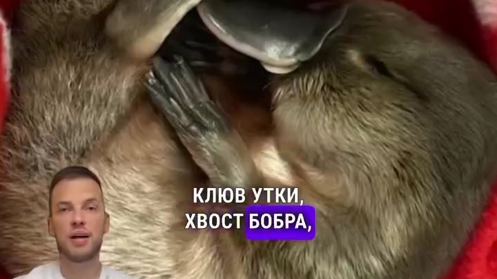 Для тех, кто сомневается в том, что в древности на Земле проводились генетические эксперименты