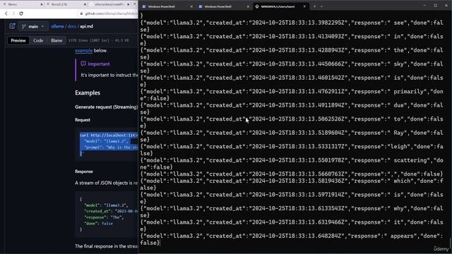 14 - Ollama Raw API Requests