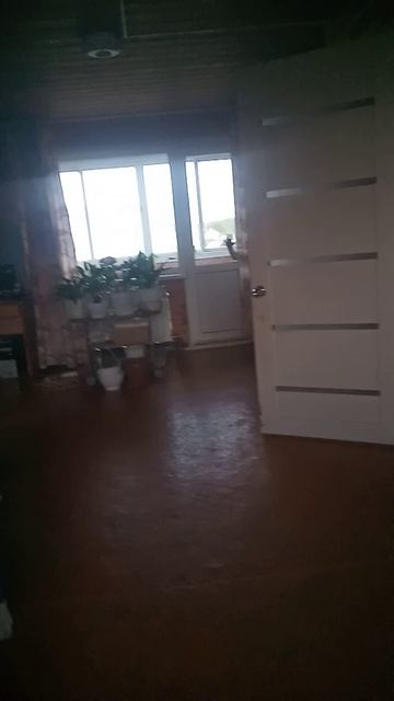 VID_20250603_220456.mp4