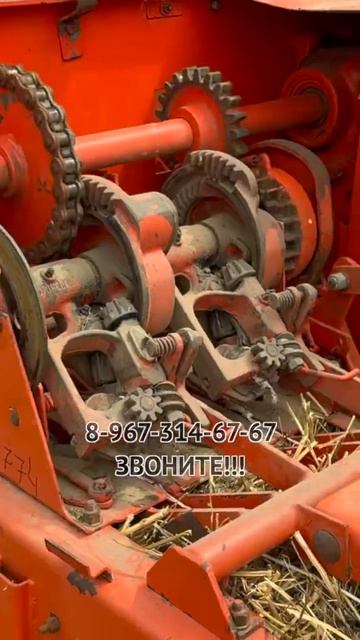 купить хороший персс sipma#Sipma #сипма