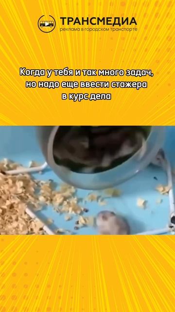 а вы успеваете?
