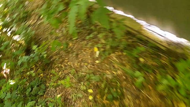 1000033093.mp4