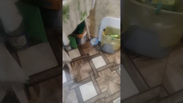 Я собрал кук на пляж