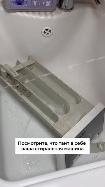 А давно ли вы мыли свою стиральную машину??