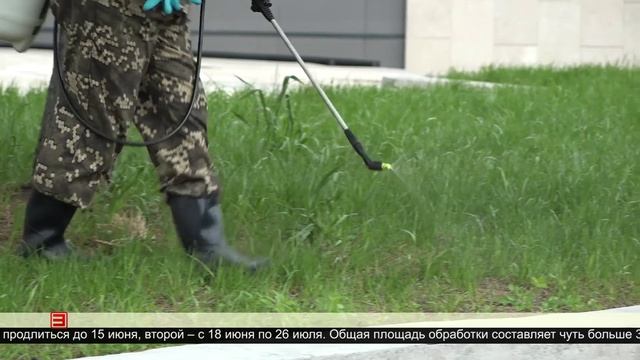 Клещи не дремлют 02.06.2025