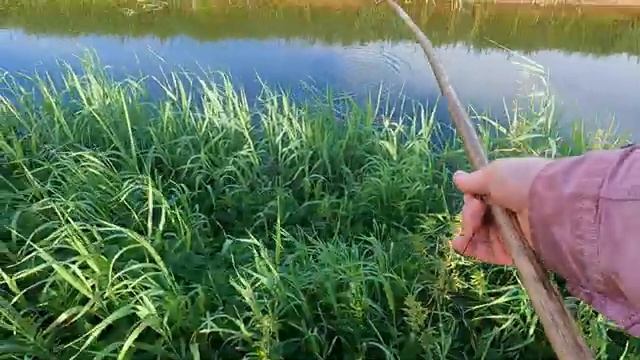 Не зря приехал — улов на месте