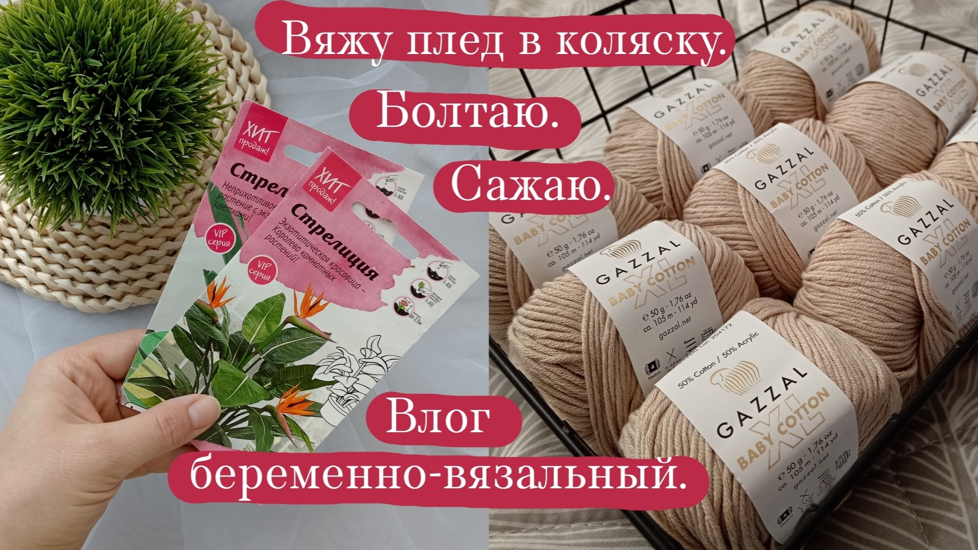 Влог беременно-вязальный.🫄🧶 Плед спицами. Покупки и процессы. Посадила стрелицию. Болтаю и вяжу.