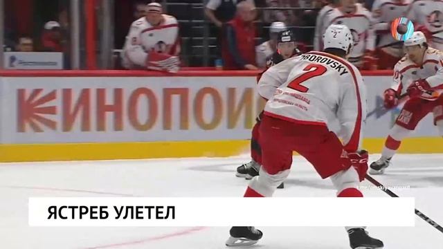 Ястреб улетел