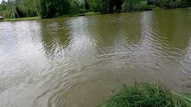Светлые Горы Щука 03.06.2025г.